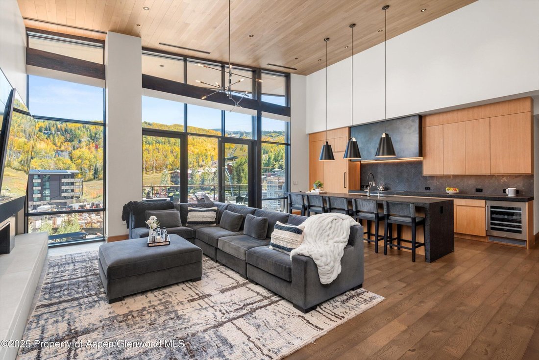Condo in Aspen, Colorado, United States 1 - 17100425