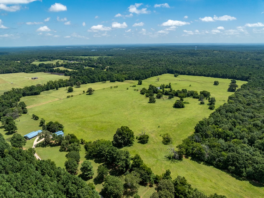 Farm Ranch in Palestine, Texas, United States 5 - 17123183
