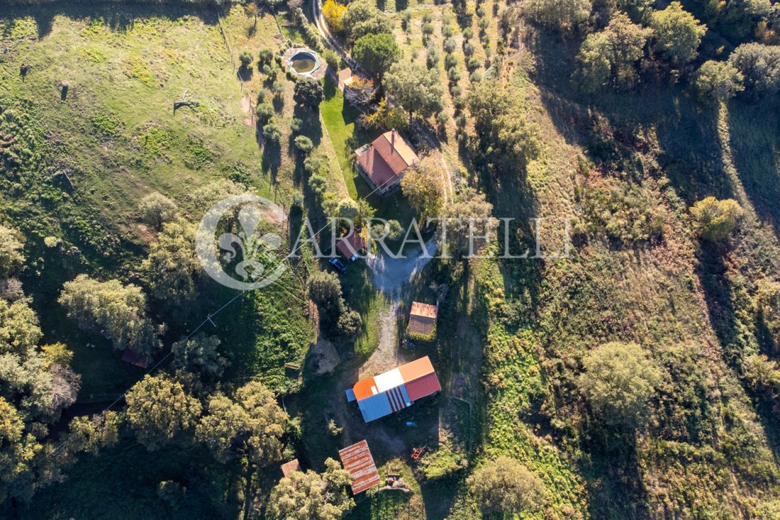 Country House in Scansano, Tuscany, Italy 2 - 16621079