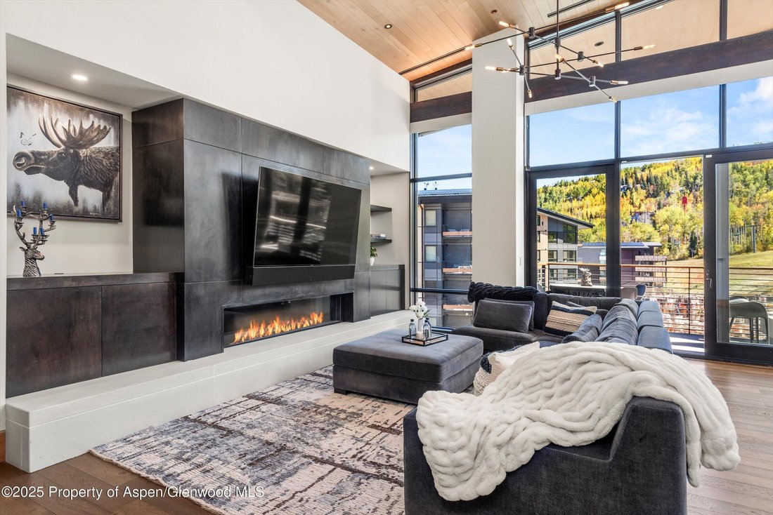 Condo in Aspen, Colorado, United States 2 - 17100425