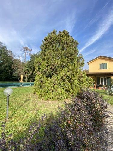 Villa in Palvotrisia - Hill of the Sun, Castelnuovo Magra, Liguria 3 - 14993094