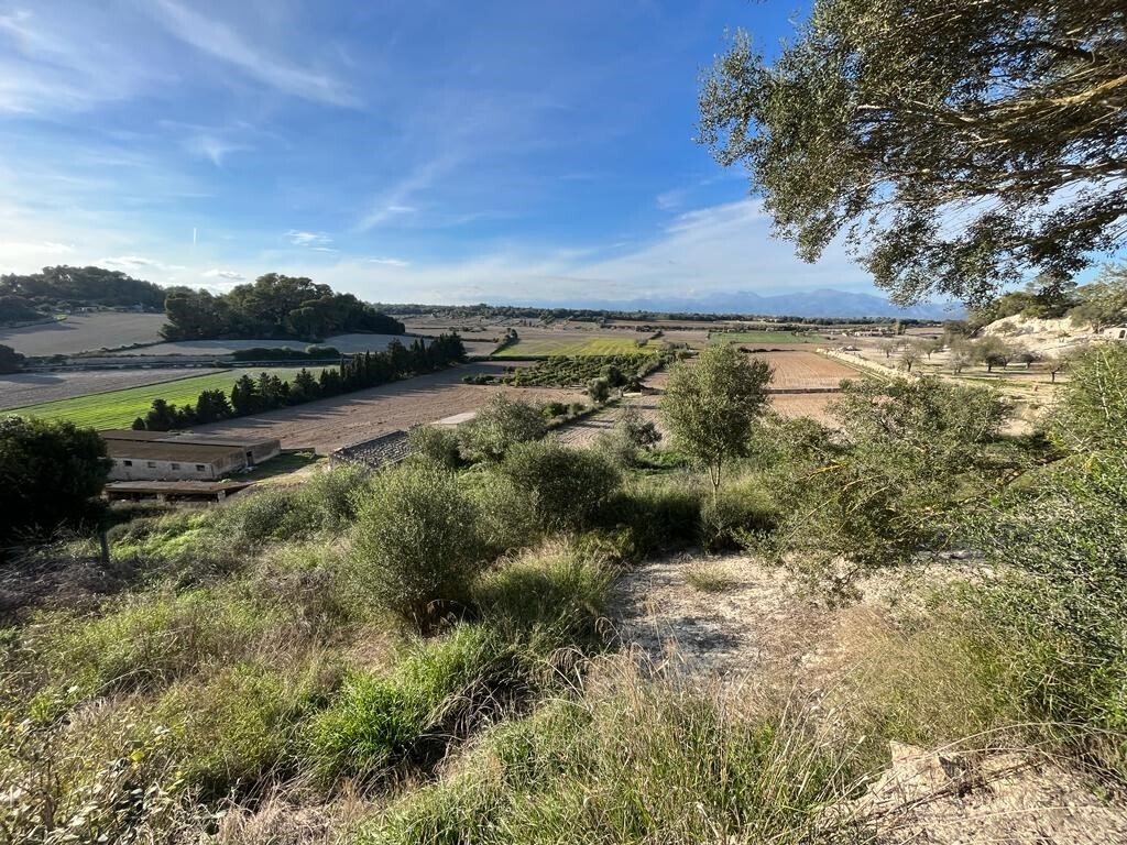 Country House in Sineu, Balearic Islands, Spain 3 - 12474196