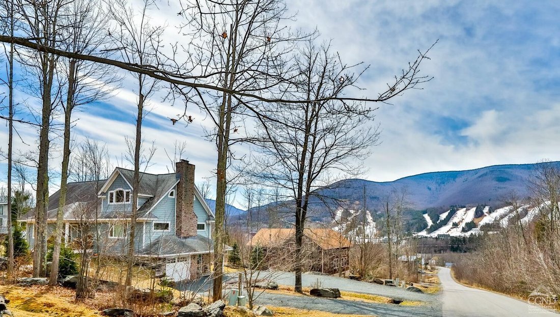 Casa a Lanesville, New York, Stati Uniti 1 - 17101701