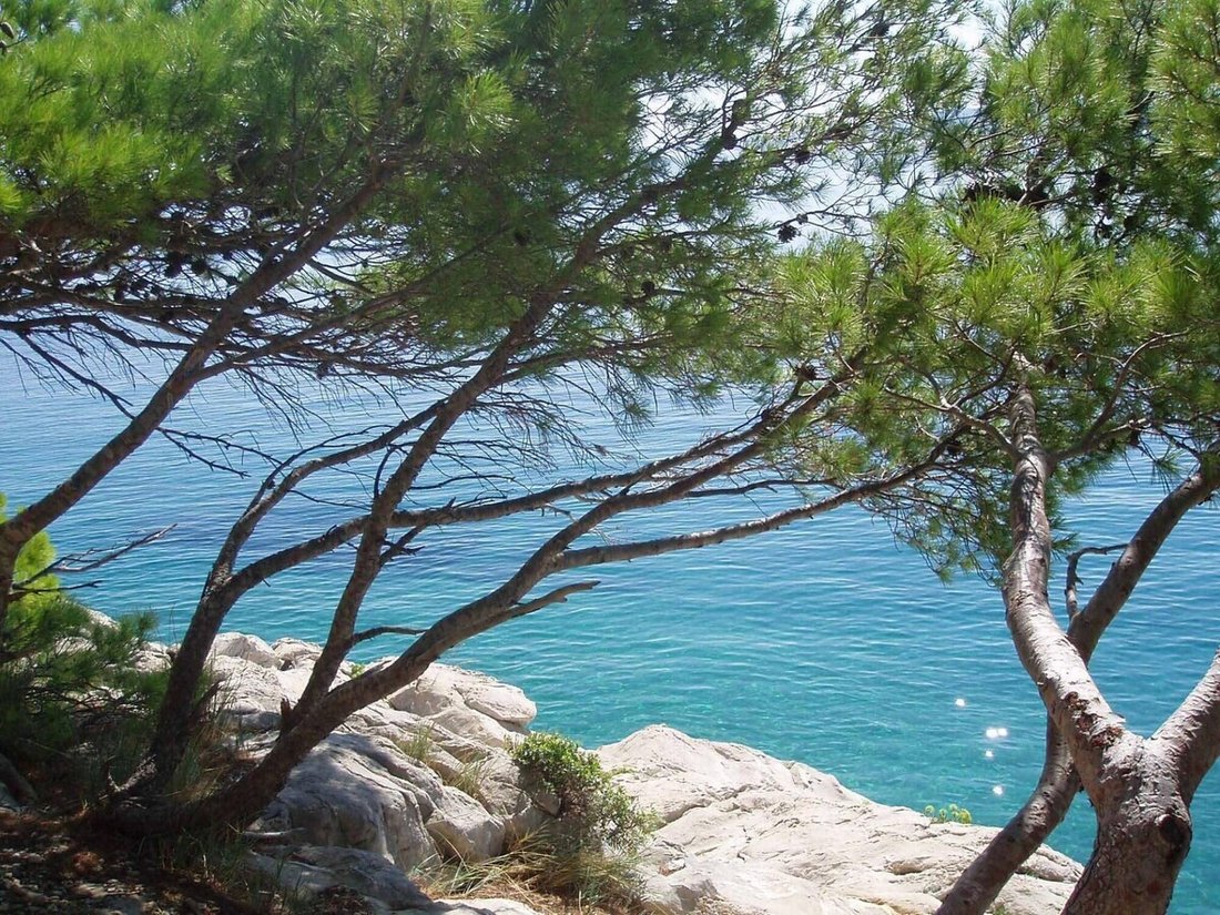 Pisak, Split-Dalmatia County, Croatia 2 - 17100179