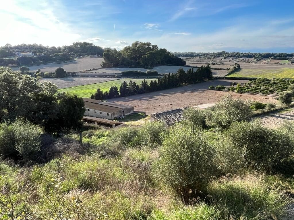 Country House in Sineu, Balearic Islands, Spain 2 - 12474196