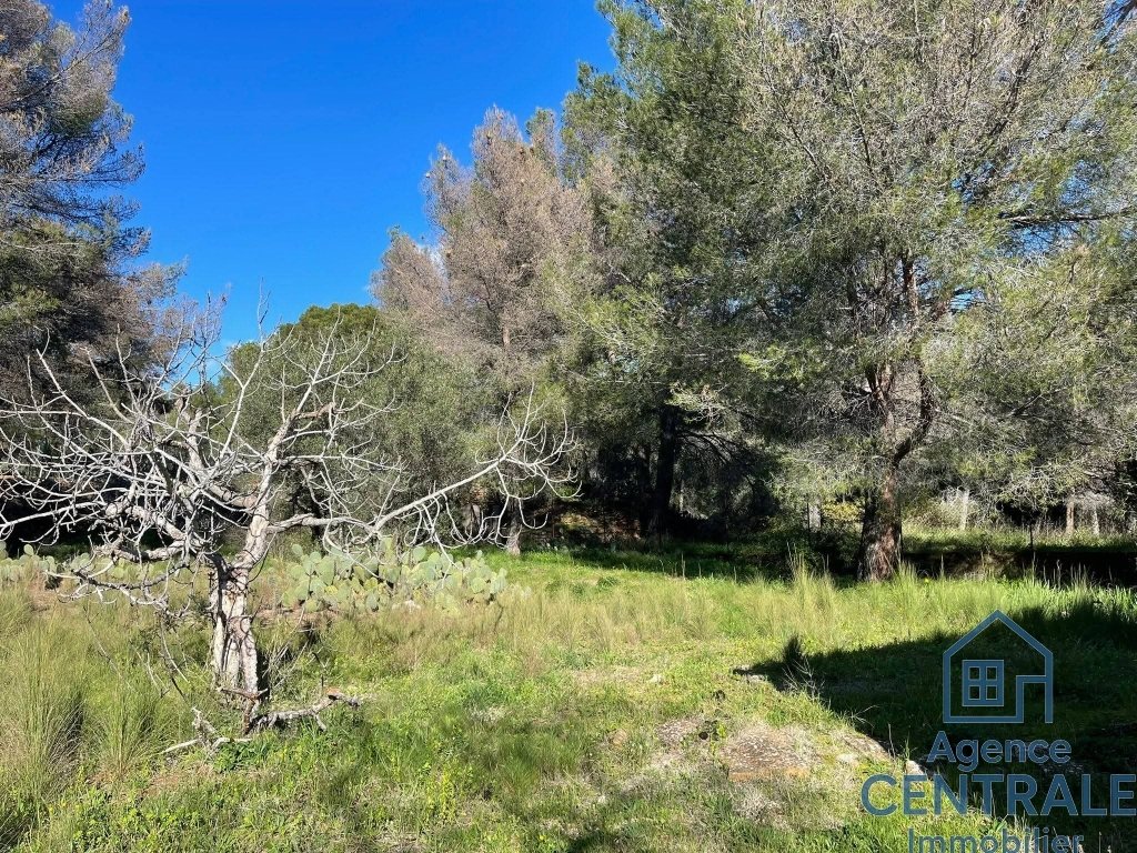 House in La Ciotat, Provence-Alpes-Côte d'Azur, France 4 - 17103866