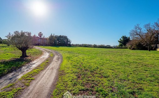 Land in Cooperative, Agde, France 1