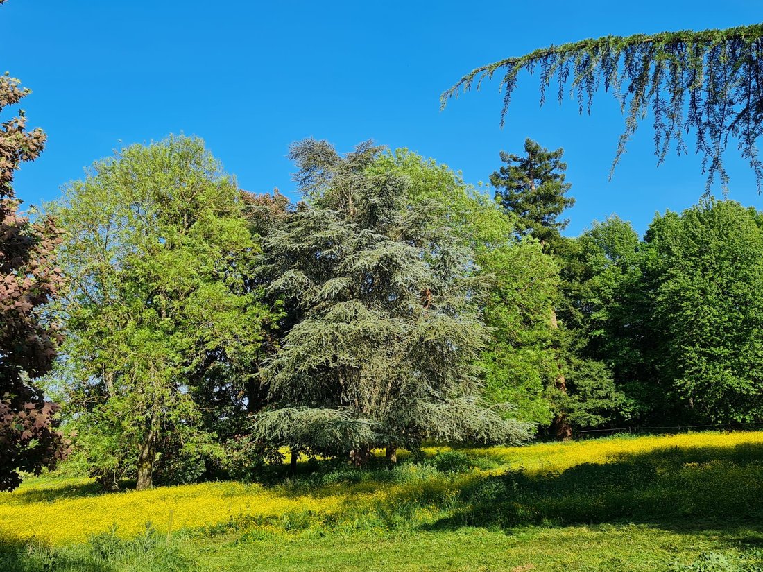 Estate in Crotelles, Centre-Val de Loire, France 5 - 17099585