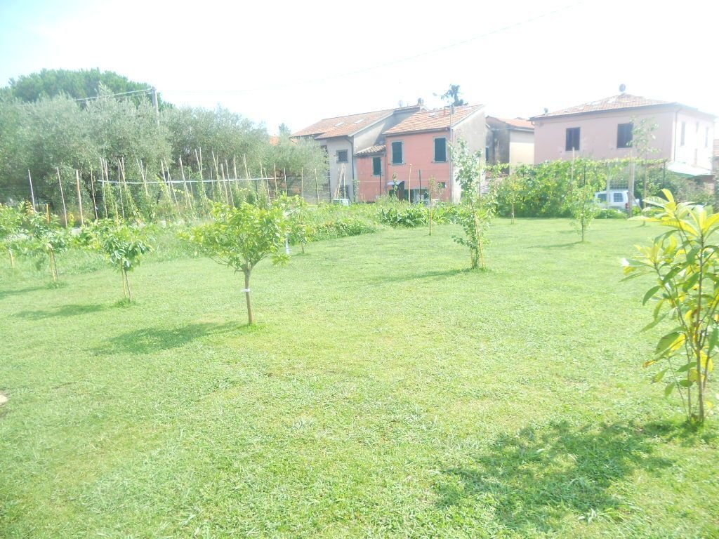 House in Historic Center, Castelnuovo Magra, Liguria 5 - 14837134