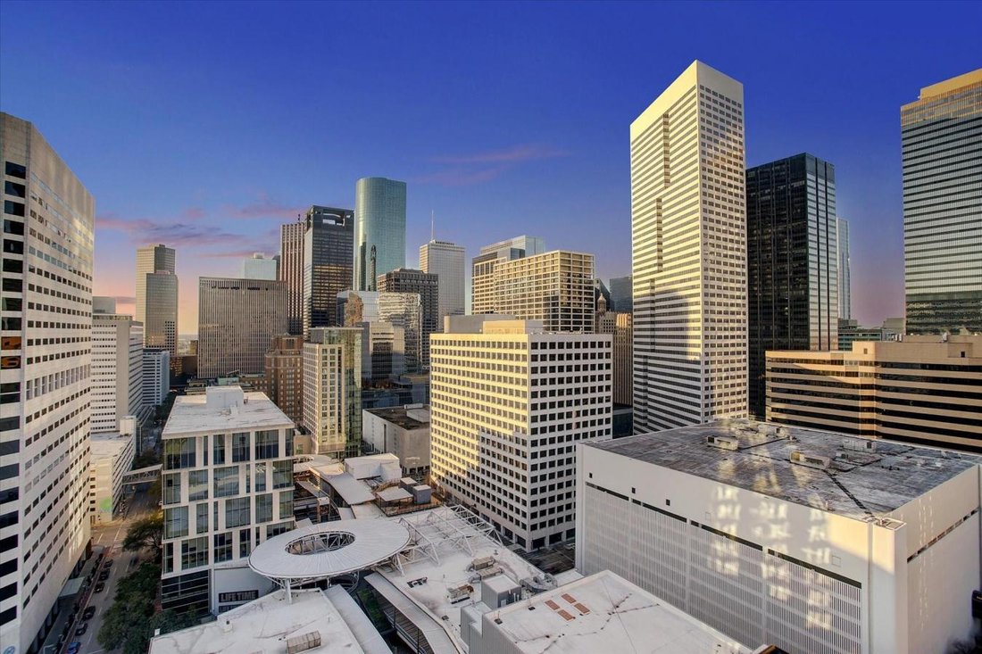 Condo in Houston, Texas, United States 4 - 17122678
