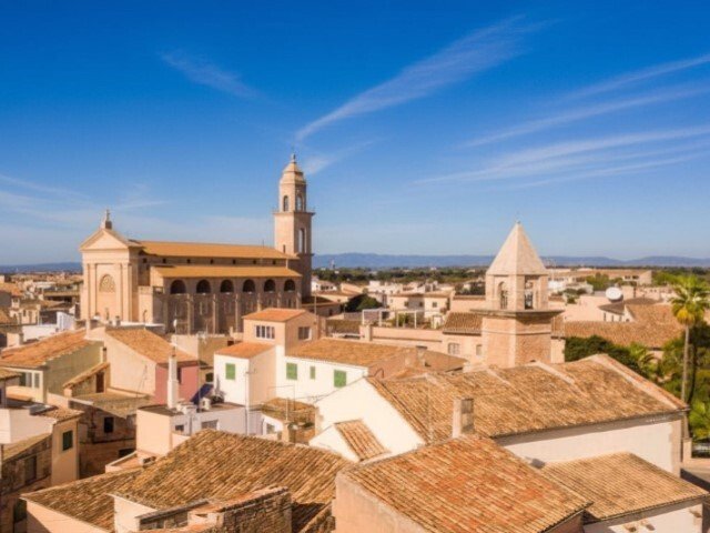 Land in ses Salines, Balearic Islands, Spain 2 - 16673425