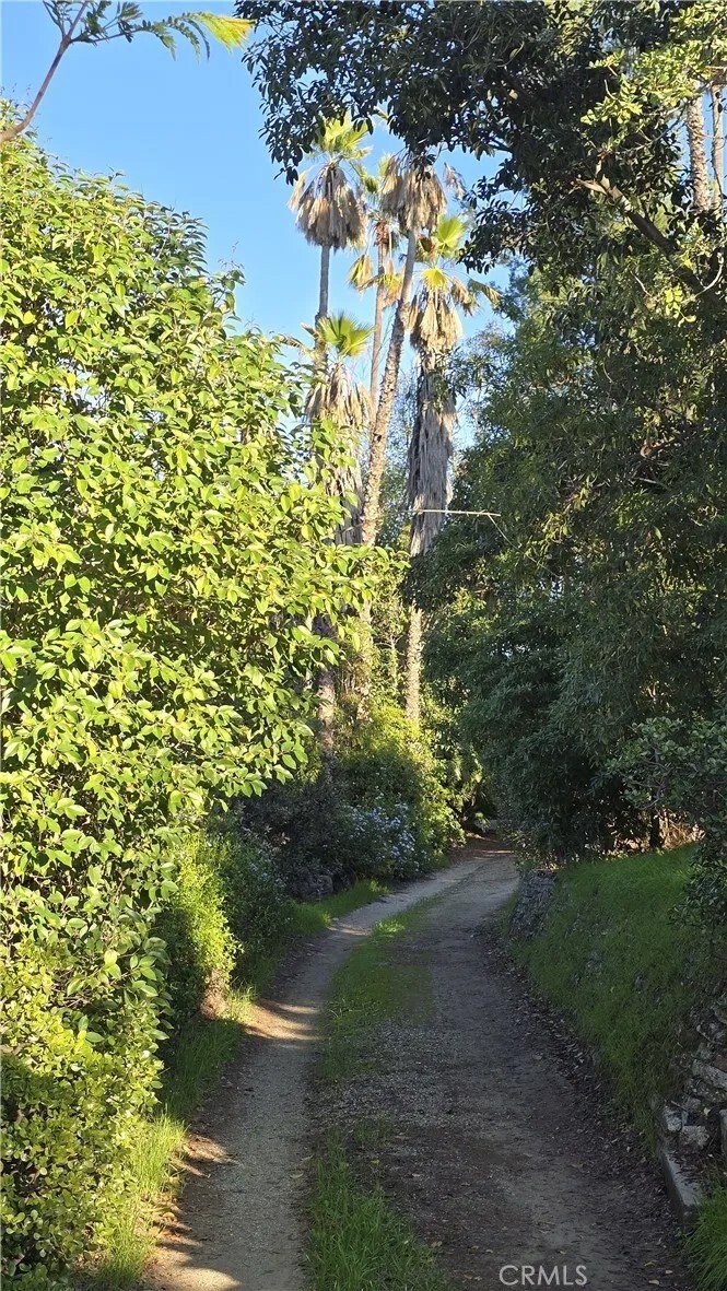 Los Angeles, California, United States 3 - 16887612