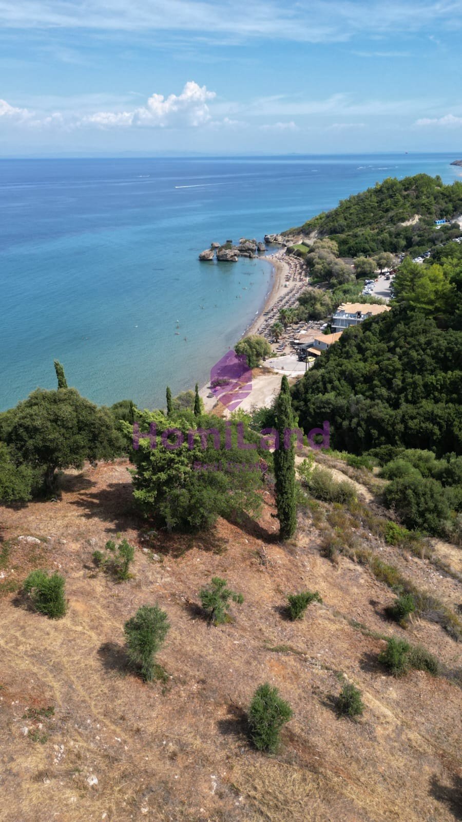 Land in Basilikou, Peloponnese, Western Greece and the Ionian, Greece 1 - 17131164