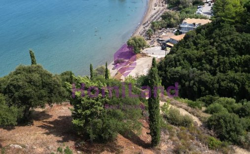 Terreno in Basilikou, Peloponnese, Western Greece and the Ionian, Grecia 1