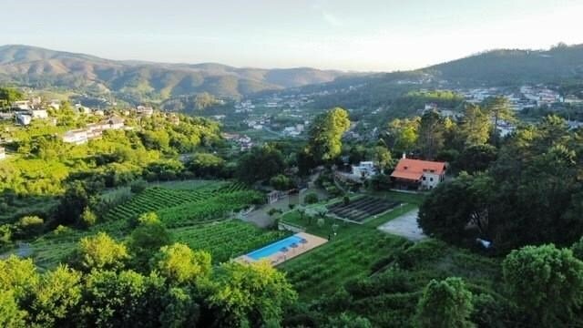 Finca in Sever do Vouga, Aveiro District, Portugal 3 - 17129712