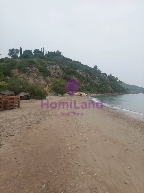 Land in Basilikou, Peloponnese, Western Greece and the Ionian, Greece 4 - 17131164