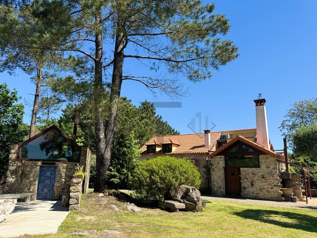 Finca in Sever do Vouga, Aveiro District, Portugal 4 - 17129712