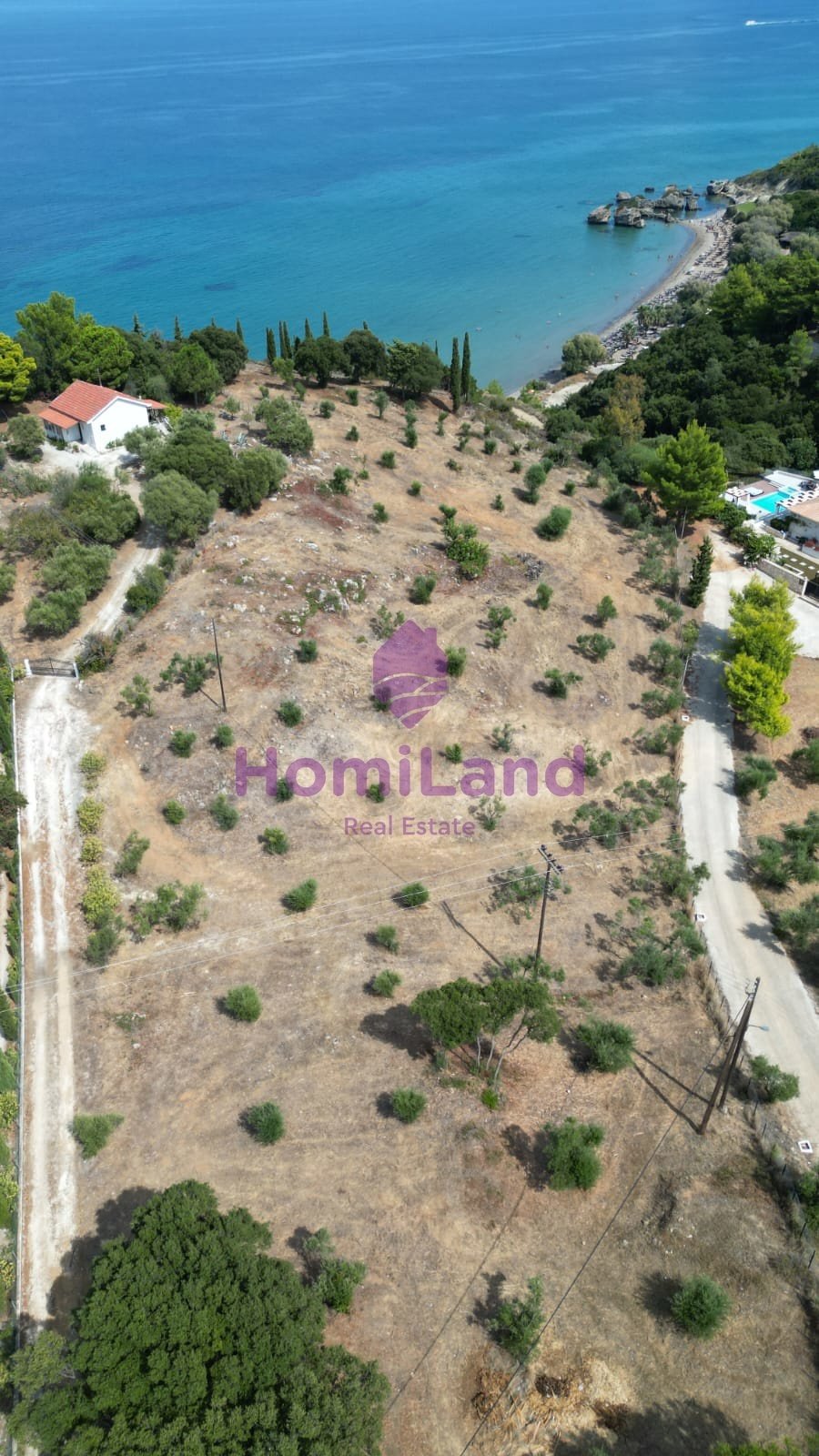 Land in Basilikou, Peloponnese, Western Greece and the Ionian, Greece 5 - 17131164