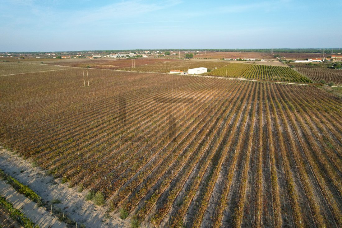 Land in Poceirao e Marateca, Setubal, Portugal 2 - 17129710