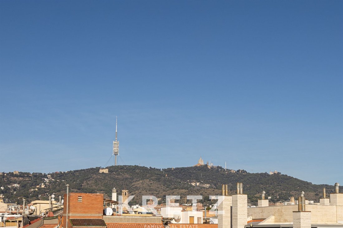 Apartment in Sarrià-Sant Gervasi, Barcelona, Spain 4 - 16962313