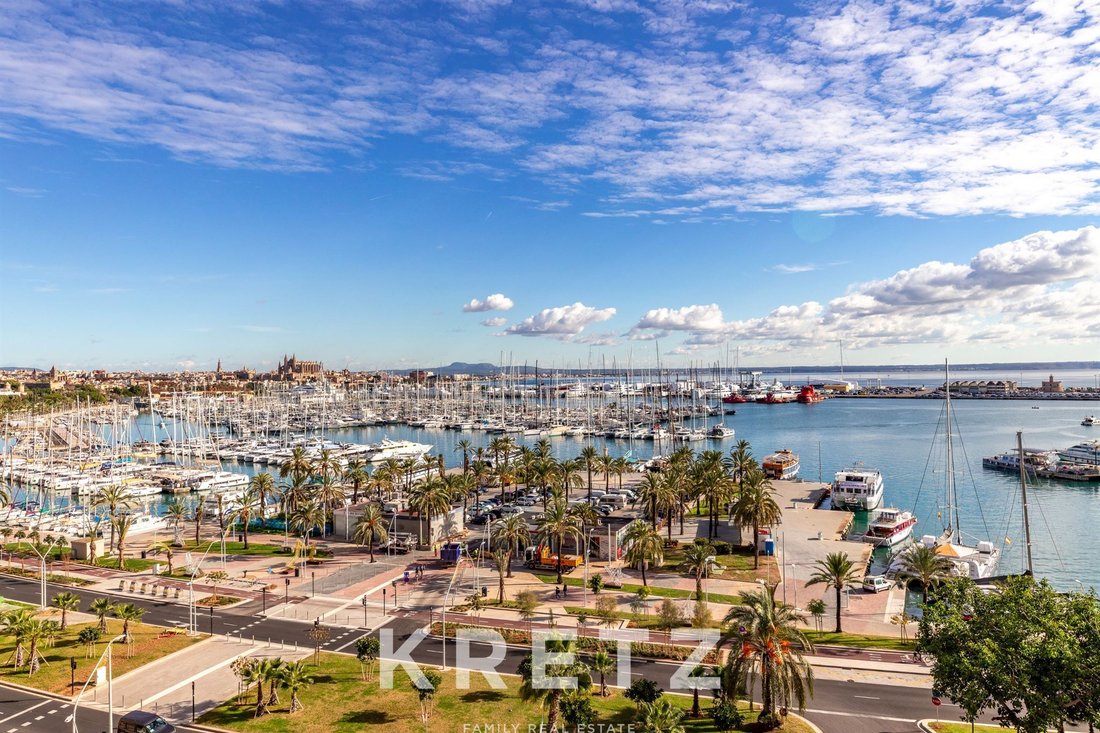 Apartment in Palma, Balearic Islands, Spain 1 - 17039983