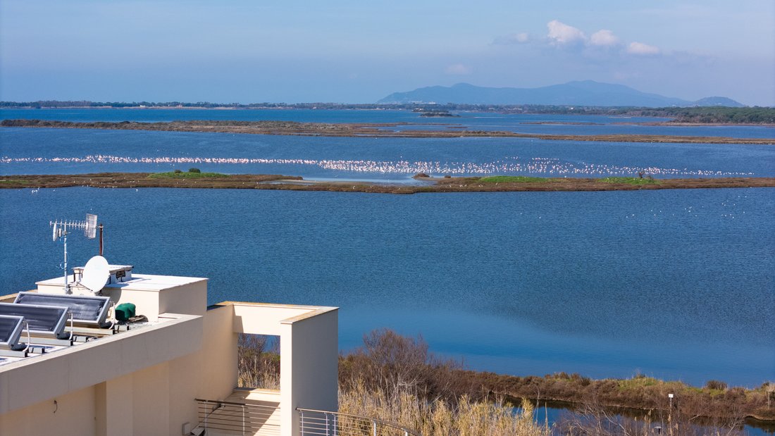 Apartment in Neghelli, Orbetello, Tuscany 1 - 17134260