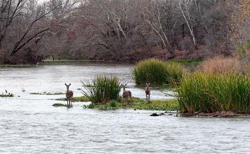Land in Smithville, Texas, United States 1