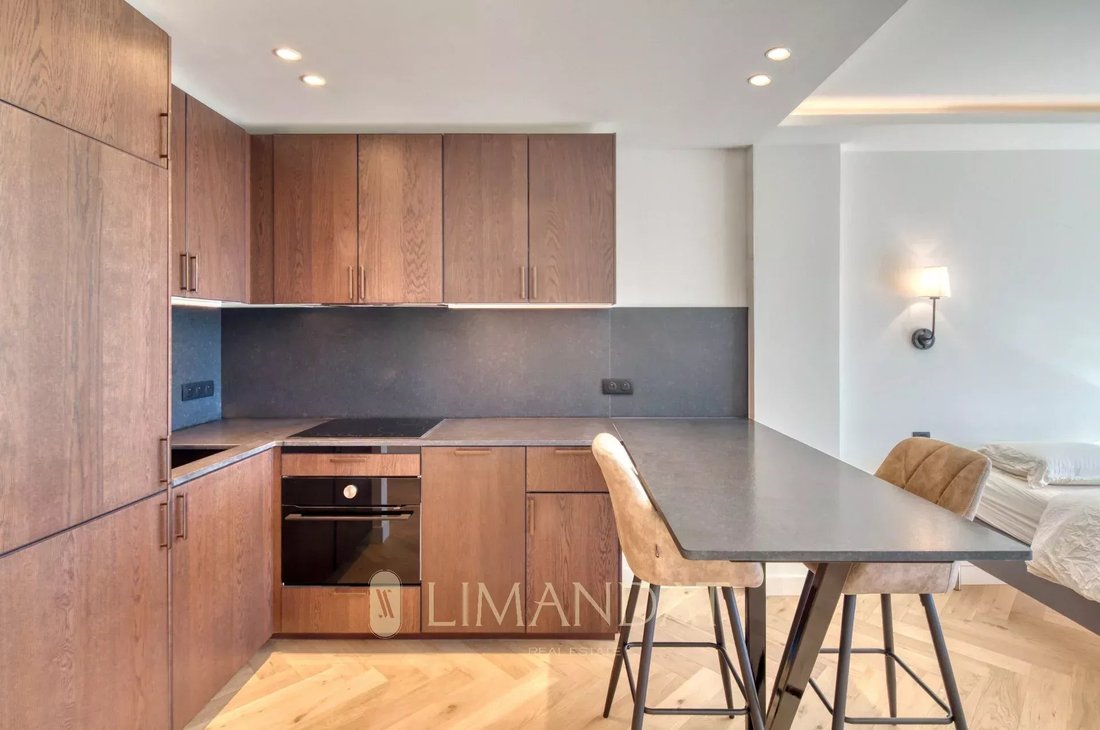 Apartment in French Riviera, Provence-Alpes-Côte d'Azur, France 1 - 16467916