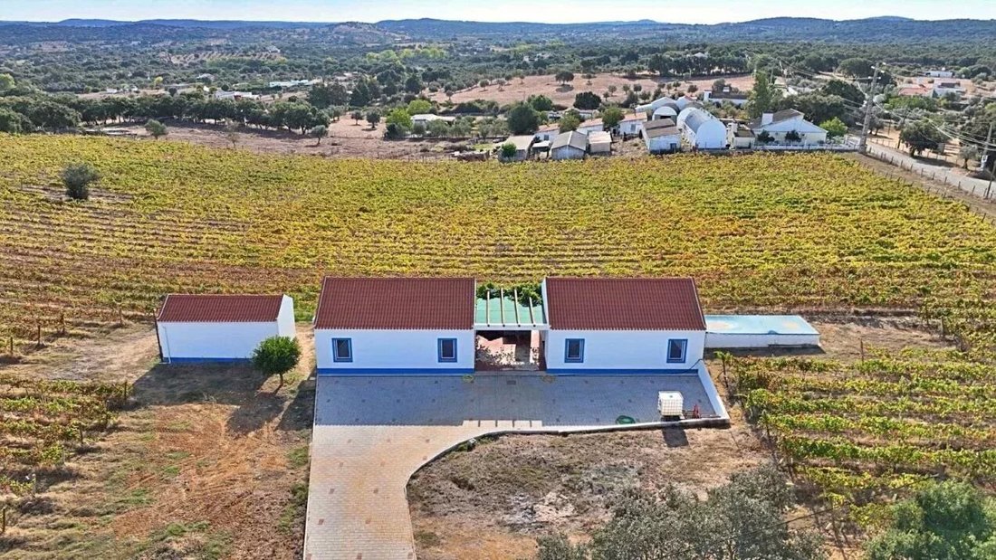 Farm Ranch in Nossa Senhora da Vila, Nossa Senhora do Bispo e Silveiras, Évora District, Portugal 1 - 16660924