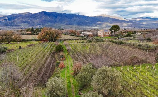 Land in Randazzo, Sicily, Italy 1