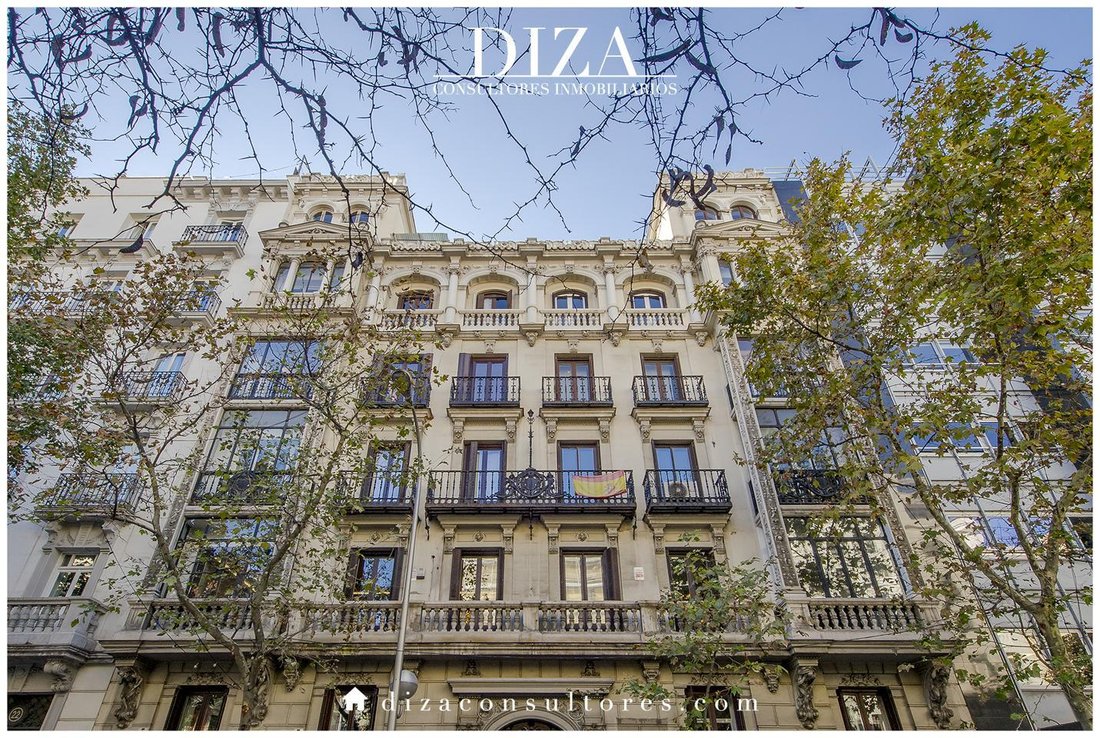 Apartment in Barrio Salamanca, Madrid, Spain 3 - 17134186