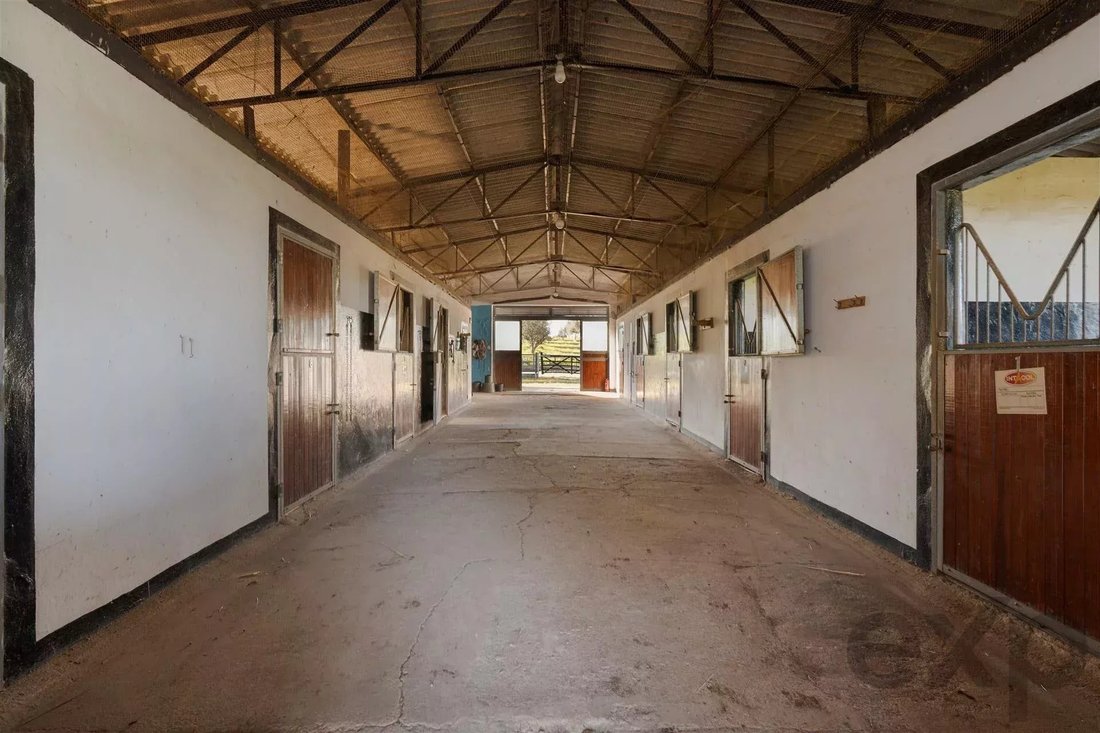 Azienda agricola a Ourique, Distretto di Beja, Portogallo 2 - 16905543