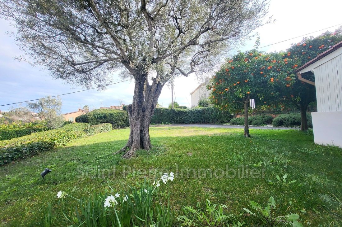 Villa in Saint Jean-L'Hubac, Cagnes-sur-Mer, France 3 - 17133728