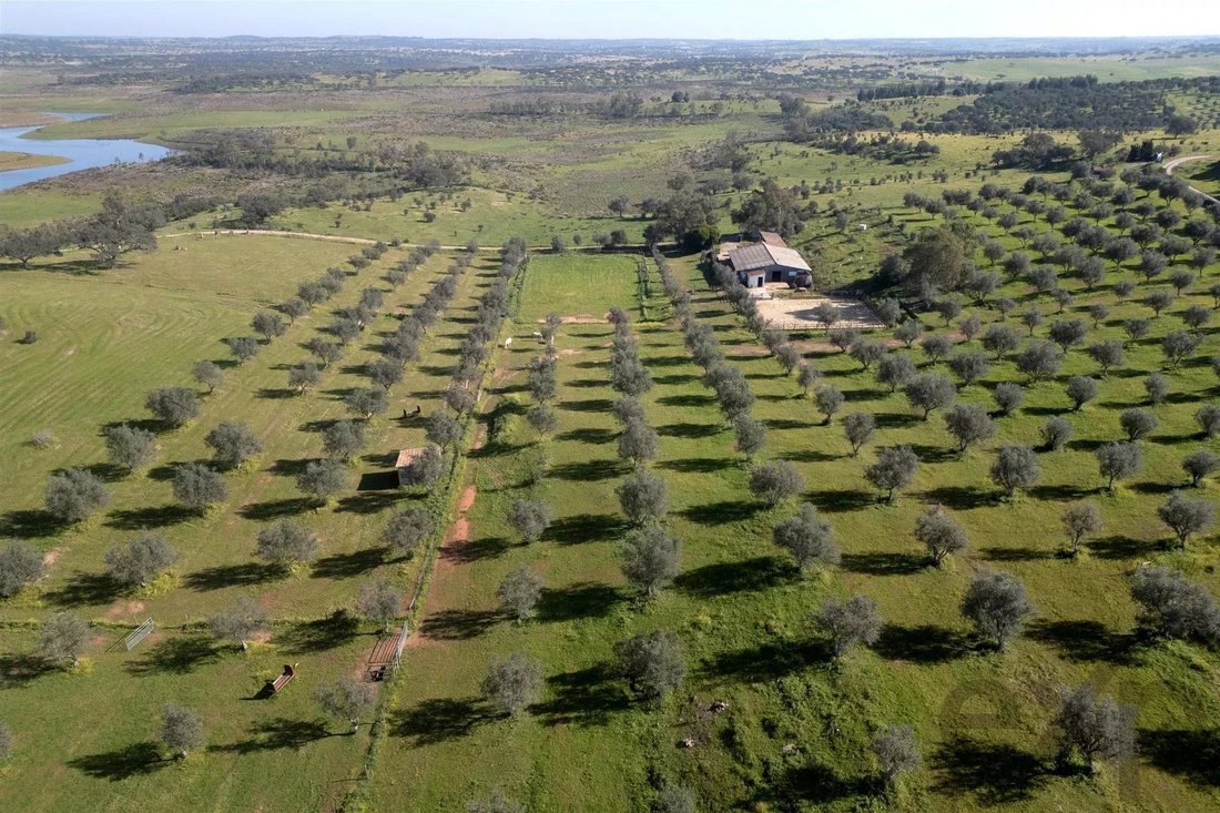 Azienda agricola a Ourique, Distretto di Beja, Portogallo 1 - 16905543