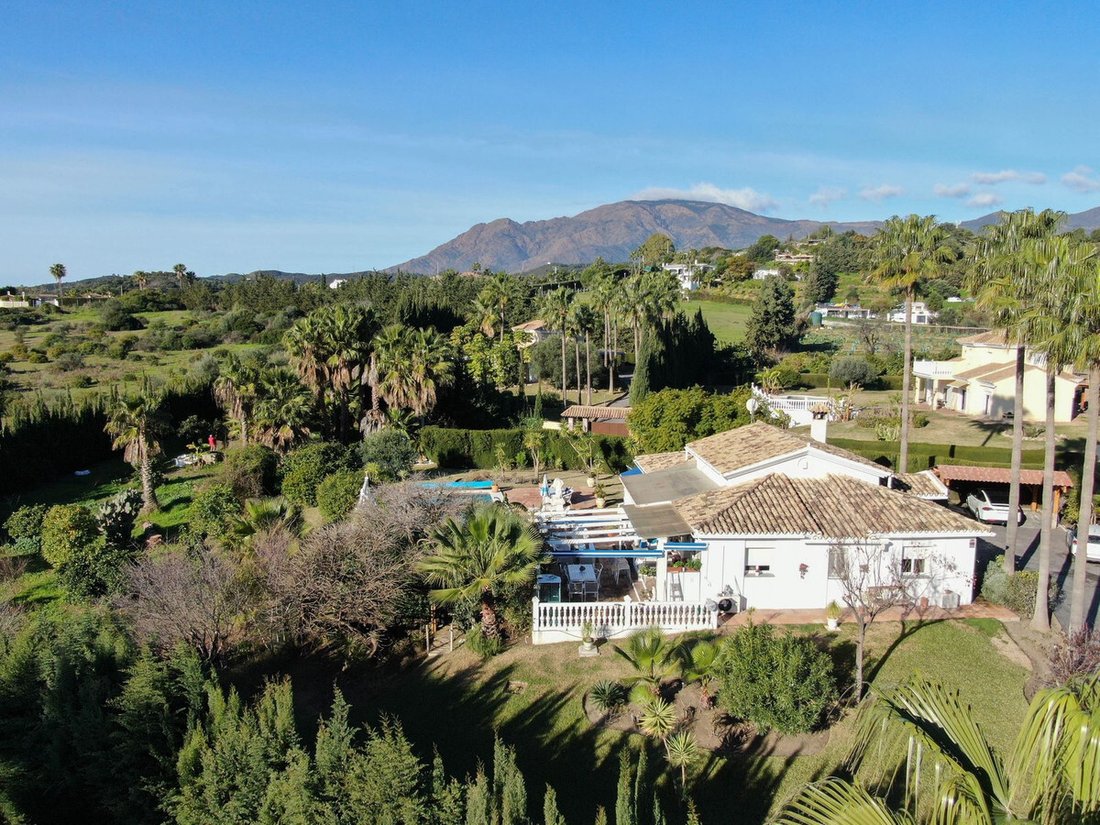 Finca in Estepona, Andalusia, Spain 4 - 17133162