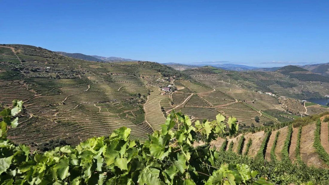 Land in Ervedosa do Douro, Viseu District, Portugal 3 - 16859222