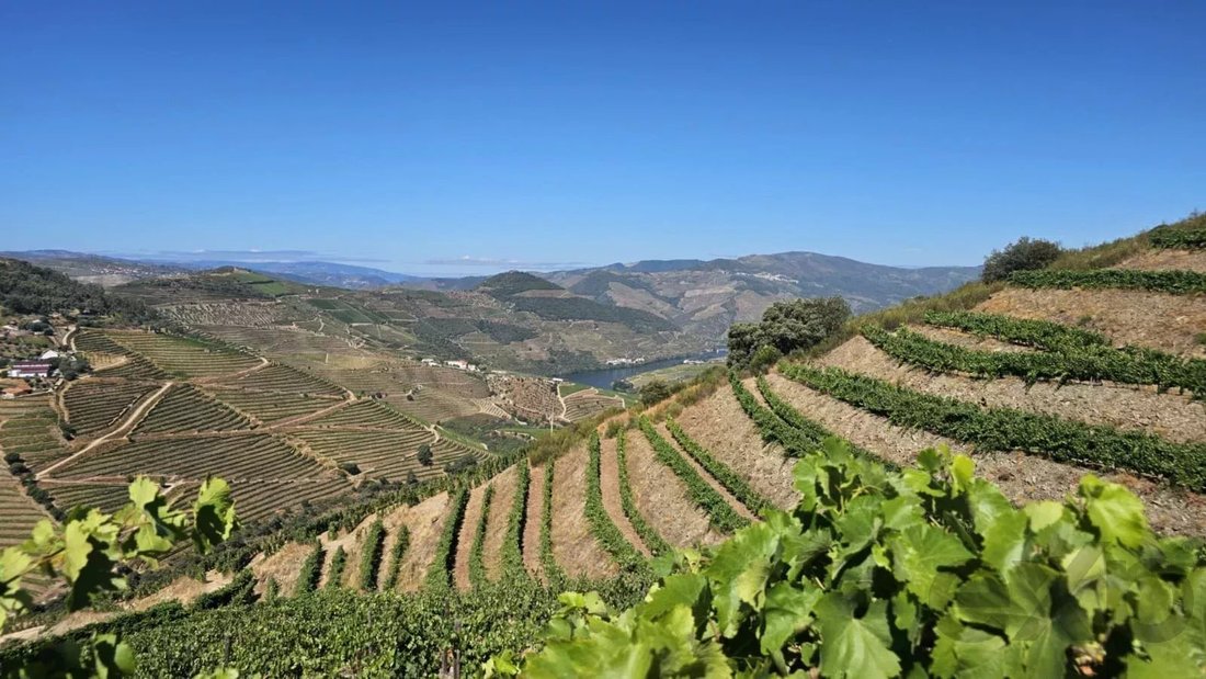 Land in Ervedosa do Douro, Viseu District, Portugal 1 - 16859222