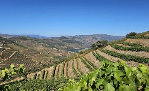 Terreno en Ervedosa do Douro, Distrito de Viseu, Portugal 1