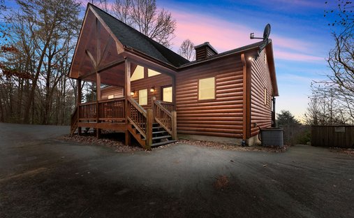 Haus in Mineral Bluff, Georgia, Vereinigte Staaten 1