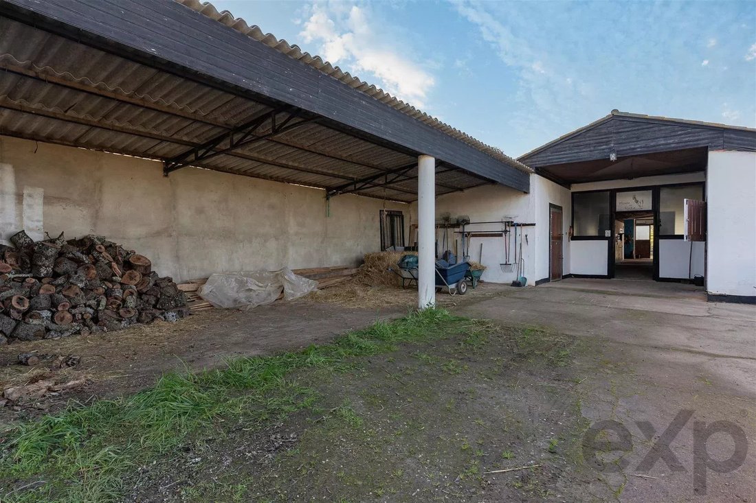 Azienda agricola a Ourique, Distretto di Beja, Portogallo 5 - 16905543