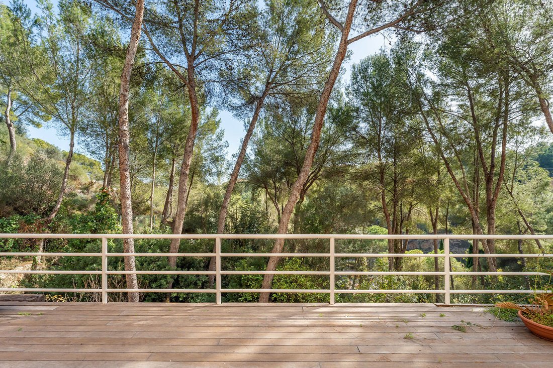 Apartment in Portals Nous, Calvia, Balearic Islands 2 - 17134421