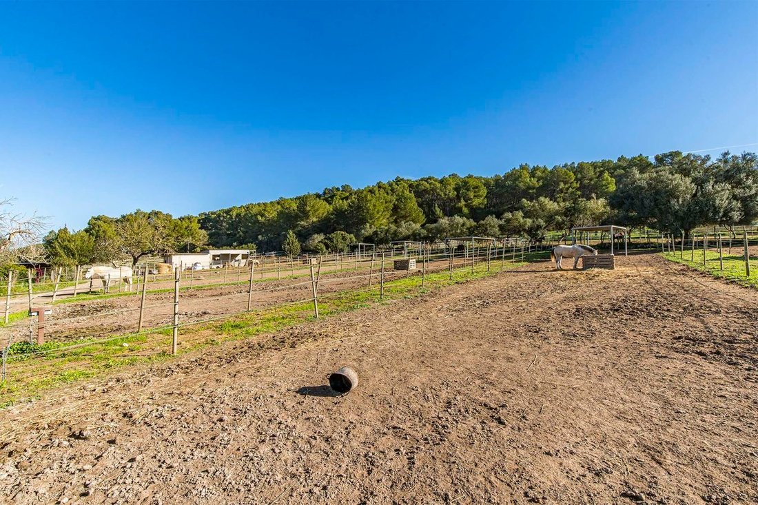 Finca in Montuiri, Balearic Islands, Spain 4 - 17134378
