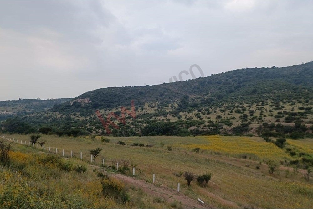Land in Tepeji, Hidalgo, Mexico 1 - 17136591