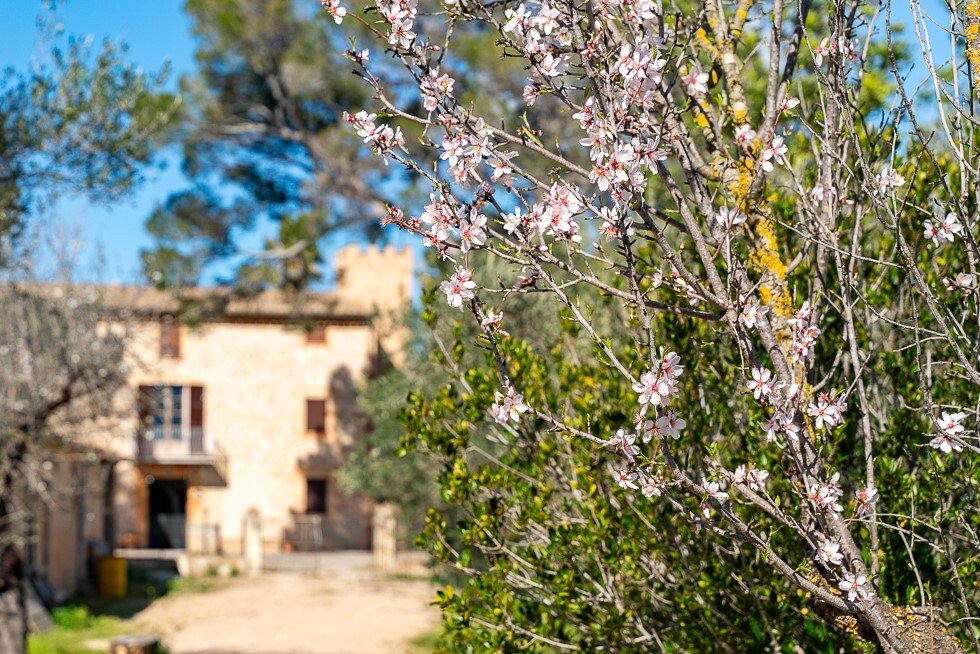 Country House in Palma, Balearic Islands, Spain 2 - 17136457