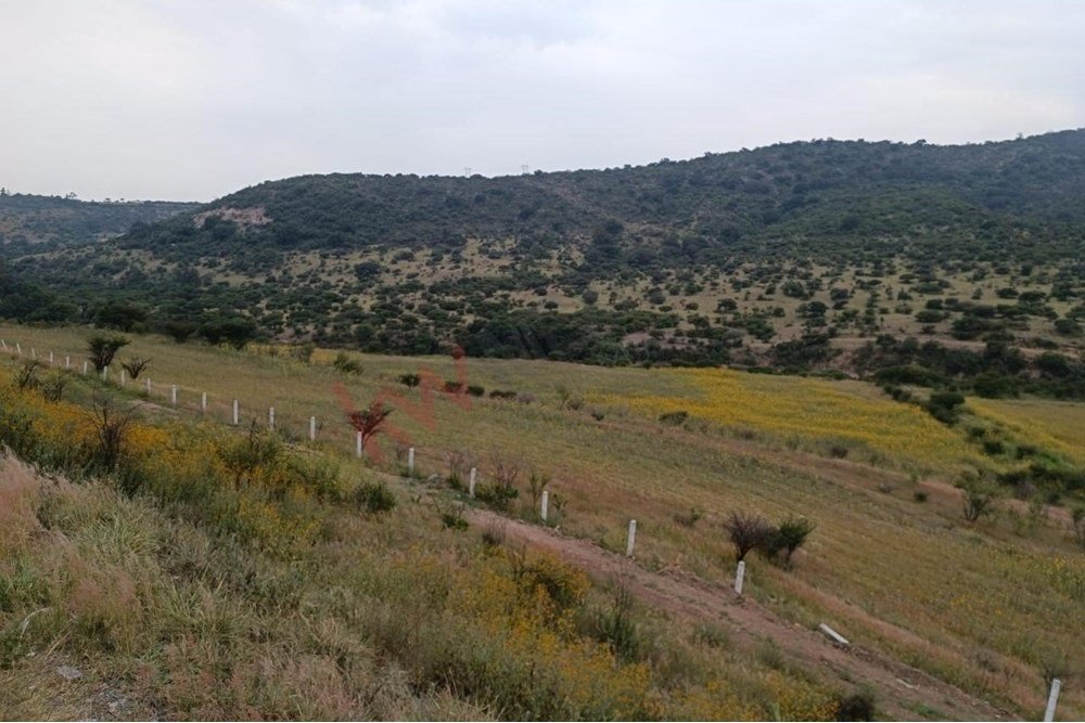 Land in Tepeji, Hidalgo, Mexico 3 - 17136591