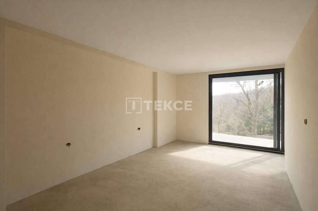 Villa in Demirciköy, İstanbul, Turkey 5 - 17136253