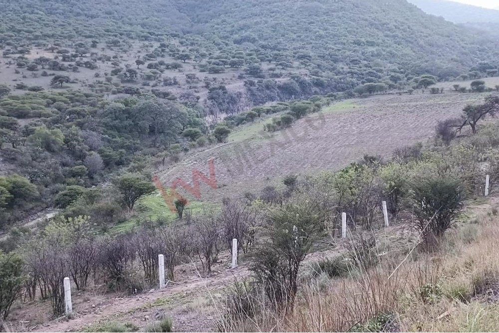 Land in Tepeji, Hidalgo, Mexico 4 - 17136591