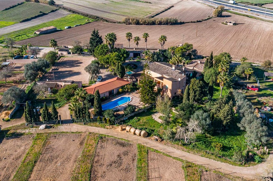 Finca in Montuiri, Balearic Islands, Spain 2 - 17134378