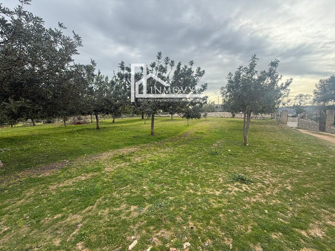 Finca a Selva, Isole Baleari, Spagna 5 - 17134268