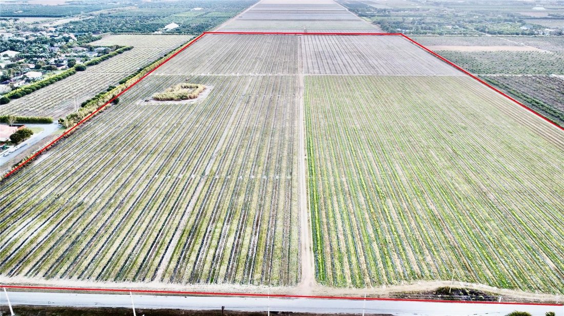 Land in Homestead, Florida, United States 2 - 17133816